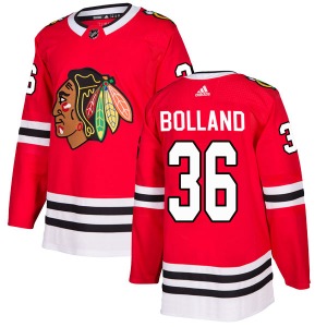 Adult Authentic Chicago Blackhawks Dave Bolland Red Home Official Adidas Jersey